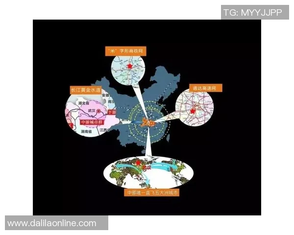乒乓球的变革之路：探寻上海乒乓球队的转型与发展之道