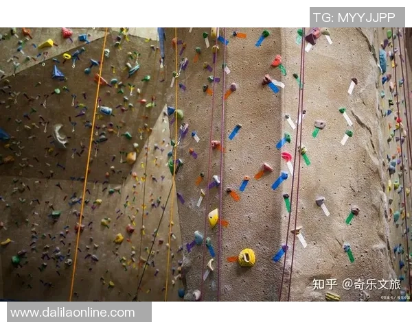 南京攀岩队心理素质研究：挑战自我与团队协作的心灵之旅